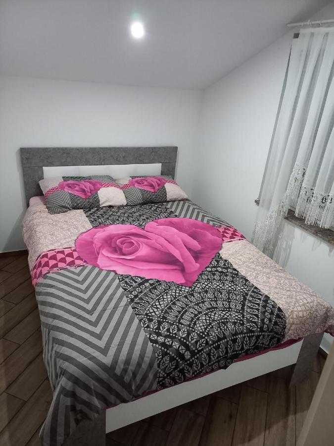 Ferienwohnung Nastanitev Nika Rogaška Slatina Exterior foto